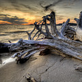 Pic Driftwood