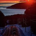 Homeward Bound-2